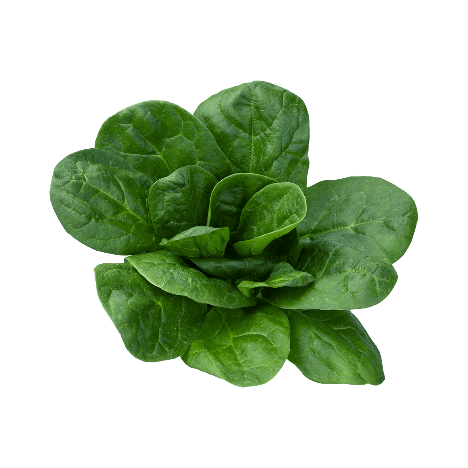 Spinach